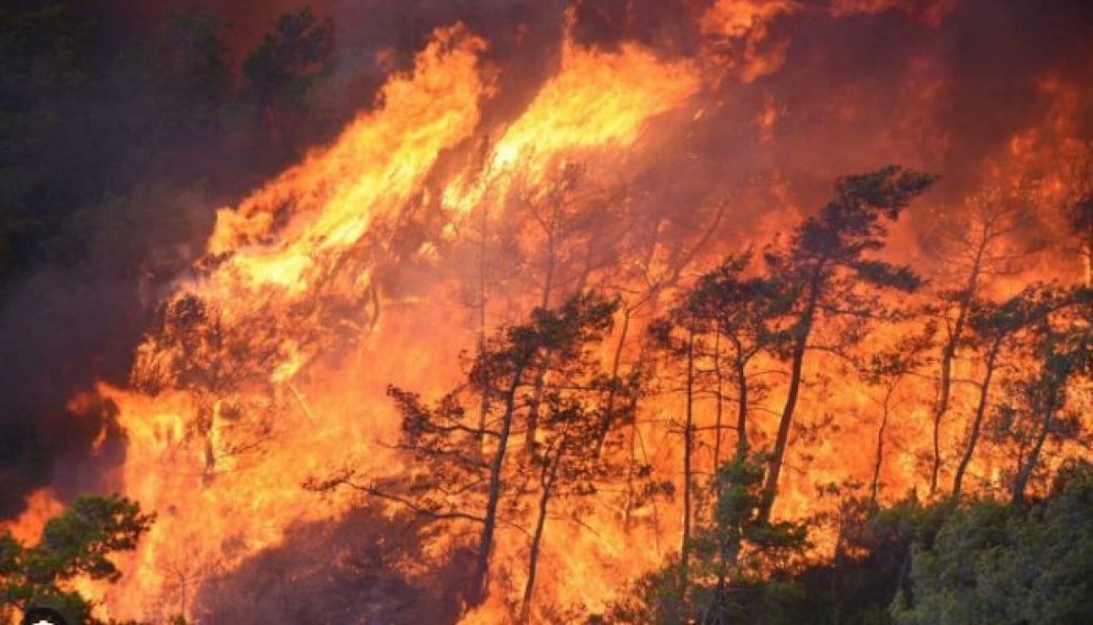 Fast-moving wildfire threatens homes in Turkey's Antalya province, authorities warn