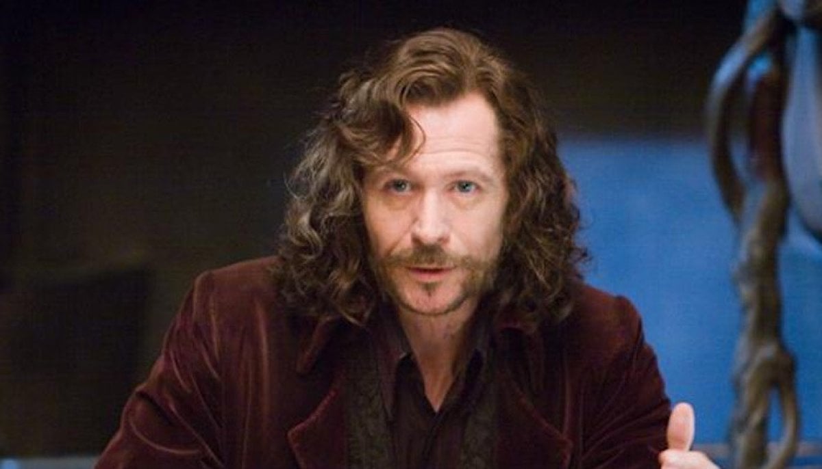Gary Oldman makes clear prediction about new 'Harry Potter' show while comparing it to film series