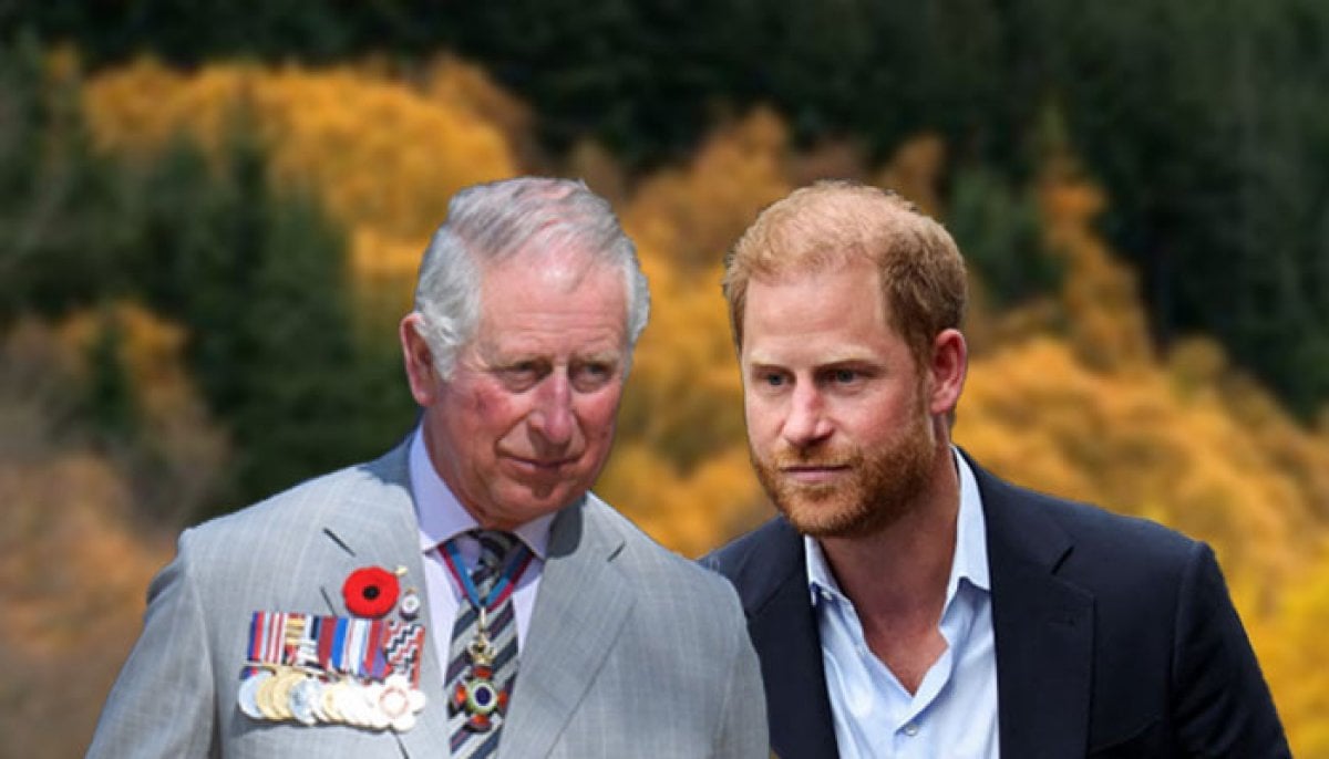 Prince Harry shoots himself in the foot: ‘Constantly impacting the entire family’