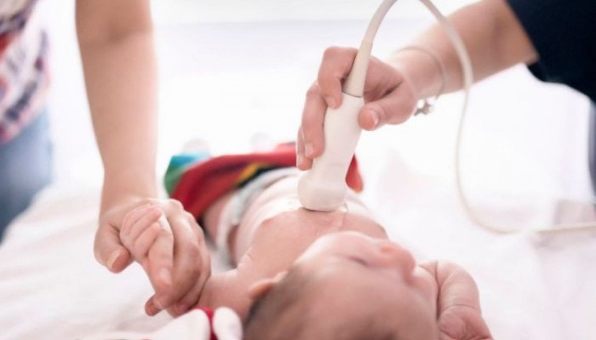 Study reveals why some babies are born with heart defects