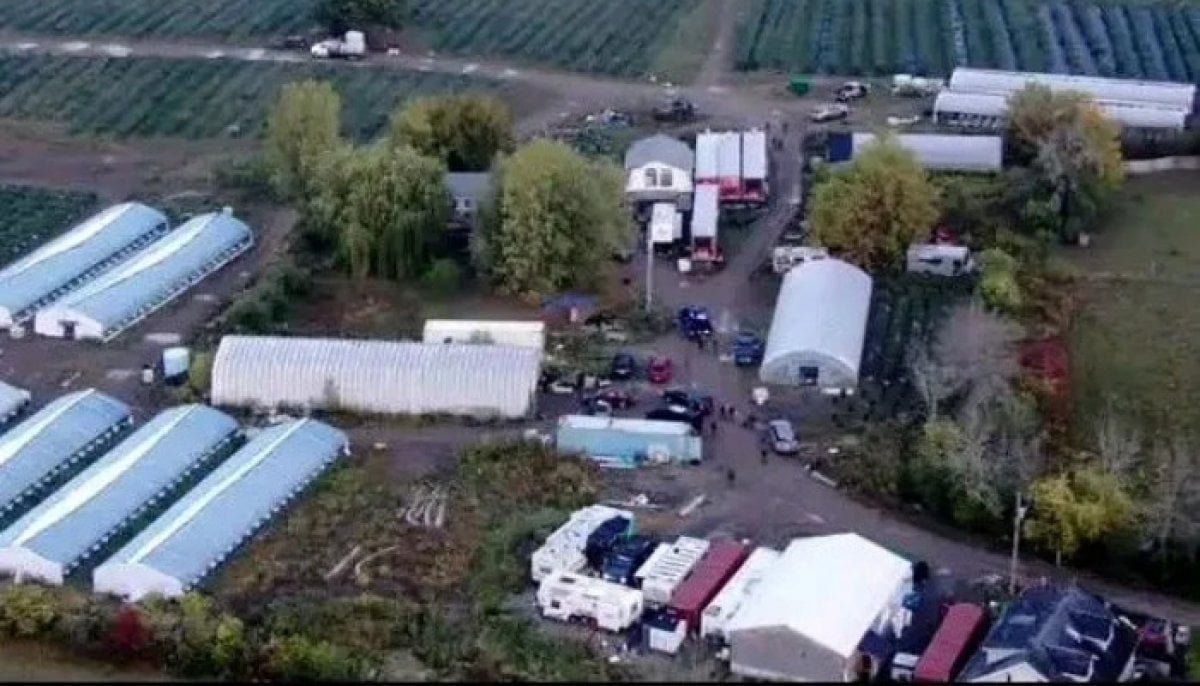 Eight charged after police dismantle massive illicit cannabis grow operation in Ontario