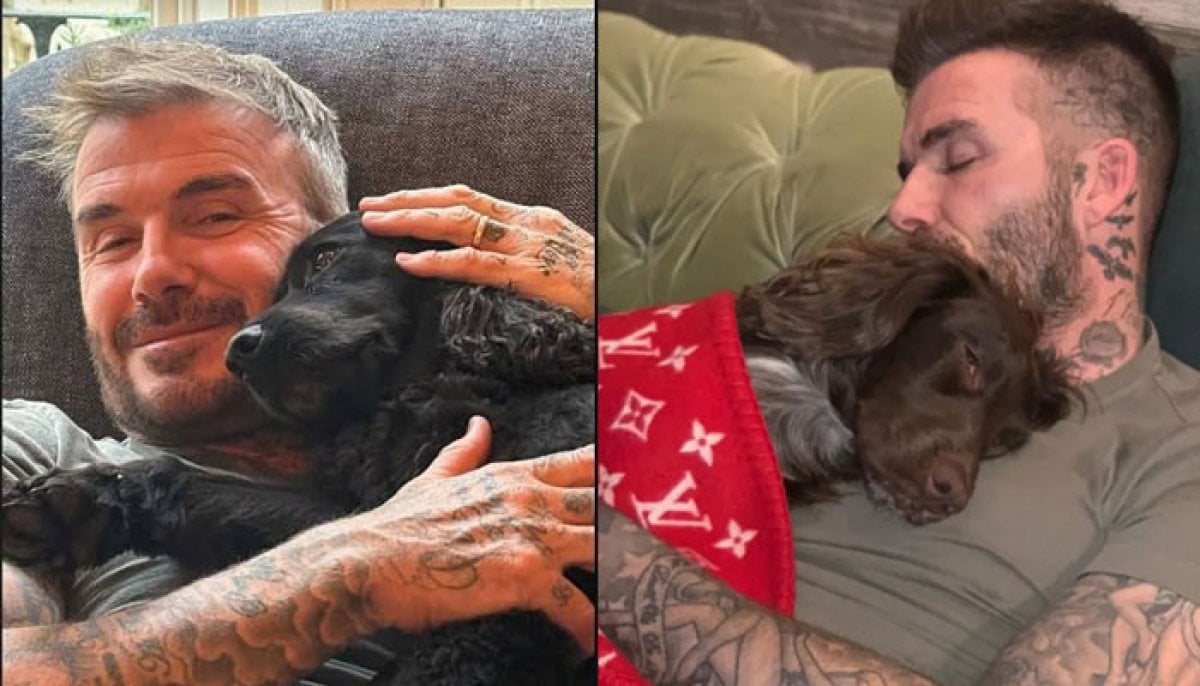 David Beckham shares heartfelt update as beloved companion 'gets old' 