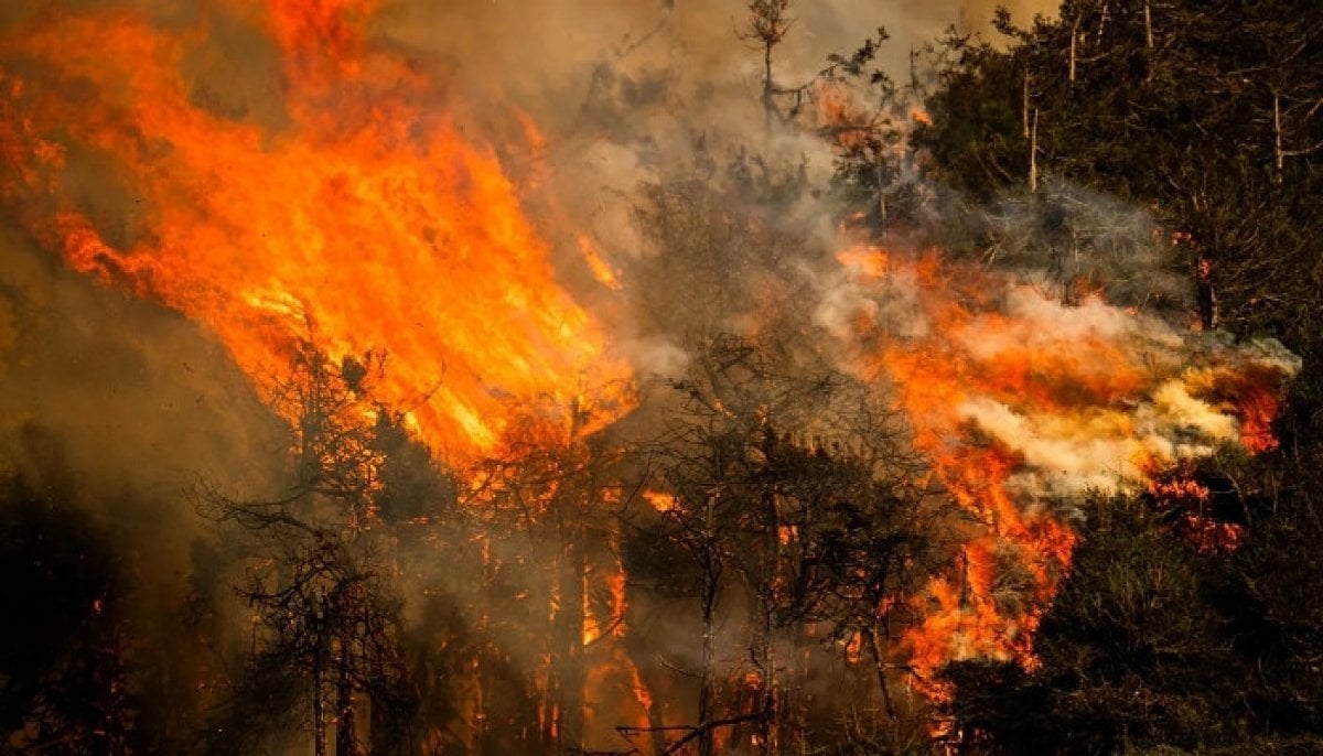 Record-breaking super El Niño could trigger extreme weather around the world
