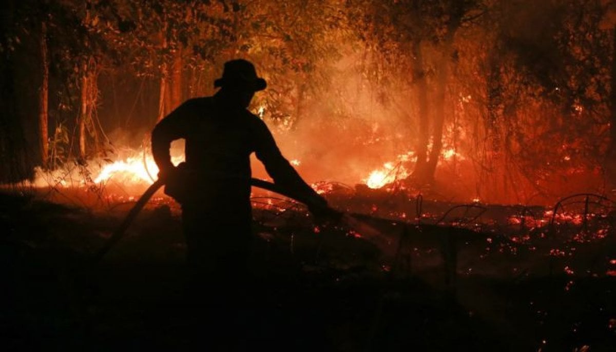 El Nino could claim 451,000 lives by February 2027: Which countries face the biggest risk? 