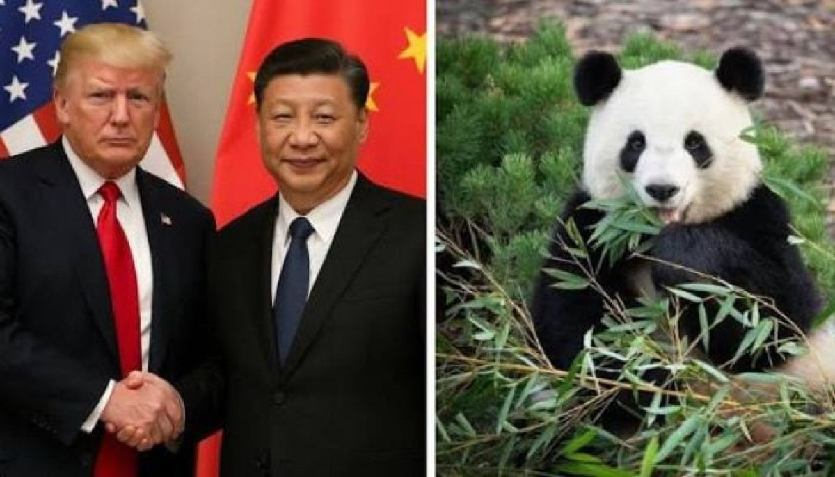Xi Jinping makes surprise panda announcement during his US visit