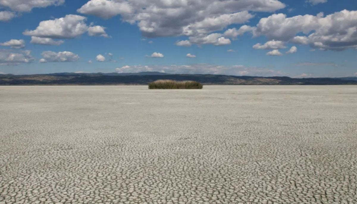 Greece's vanishing lake Koroneia exposes rapid climate impact: report
