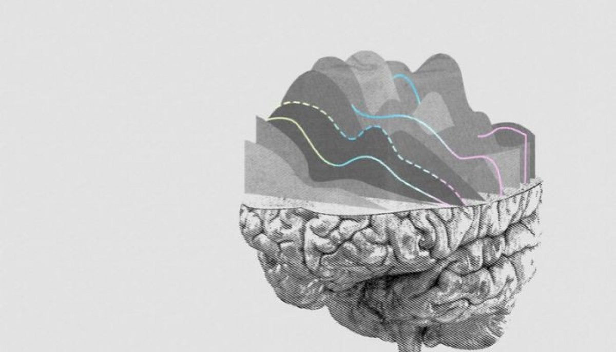 Neuralink brain implant trials reach 50,000 hours: What to know