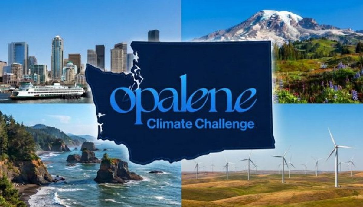 6 climate tech startups win funding as AI draws investors