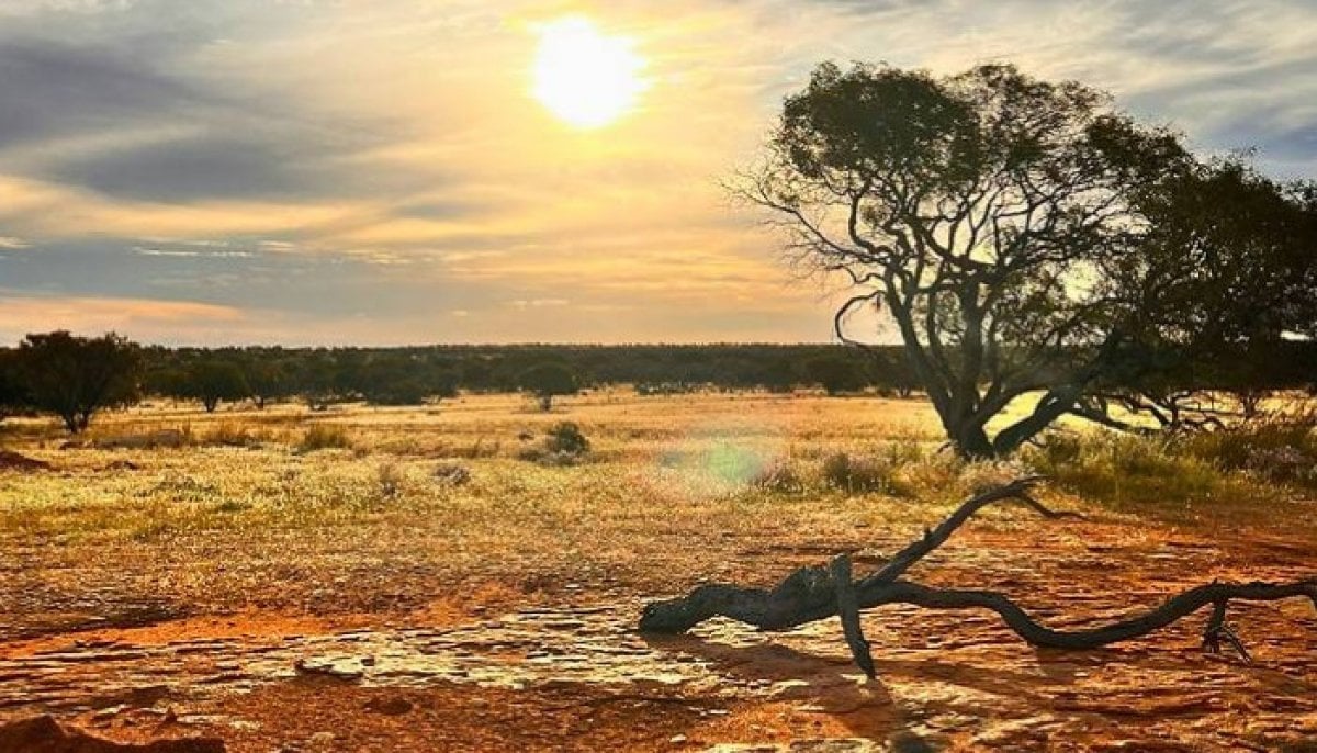 Australia bracing for hazardous summer amid ‘super El Niño’, Albanese says