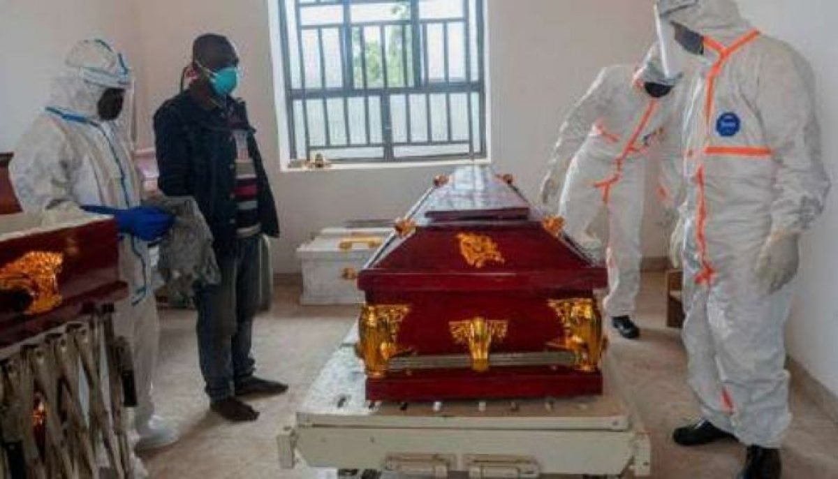 West Nile virus: Europe reports 141 deaths as human cases rise in 2026