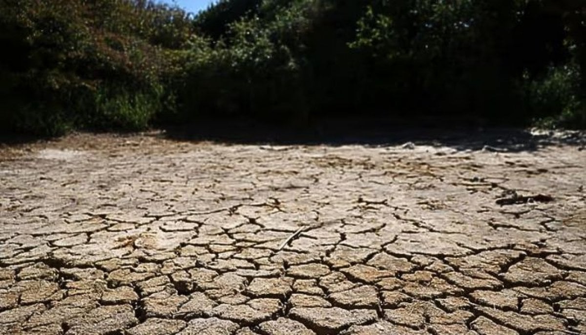 England issues severe drought declaration following driest months in a century