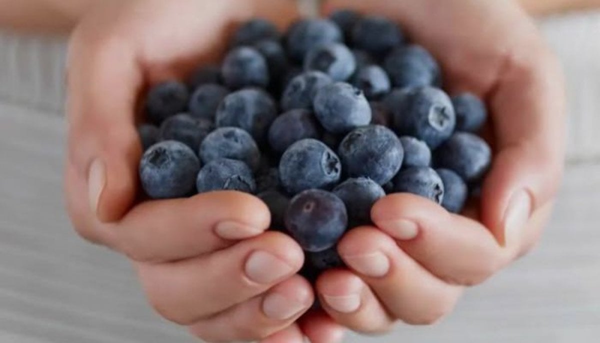 Study finds eating blueberries every day can surprisingly boost your mood 