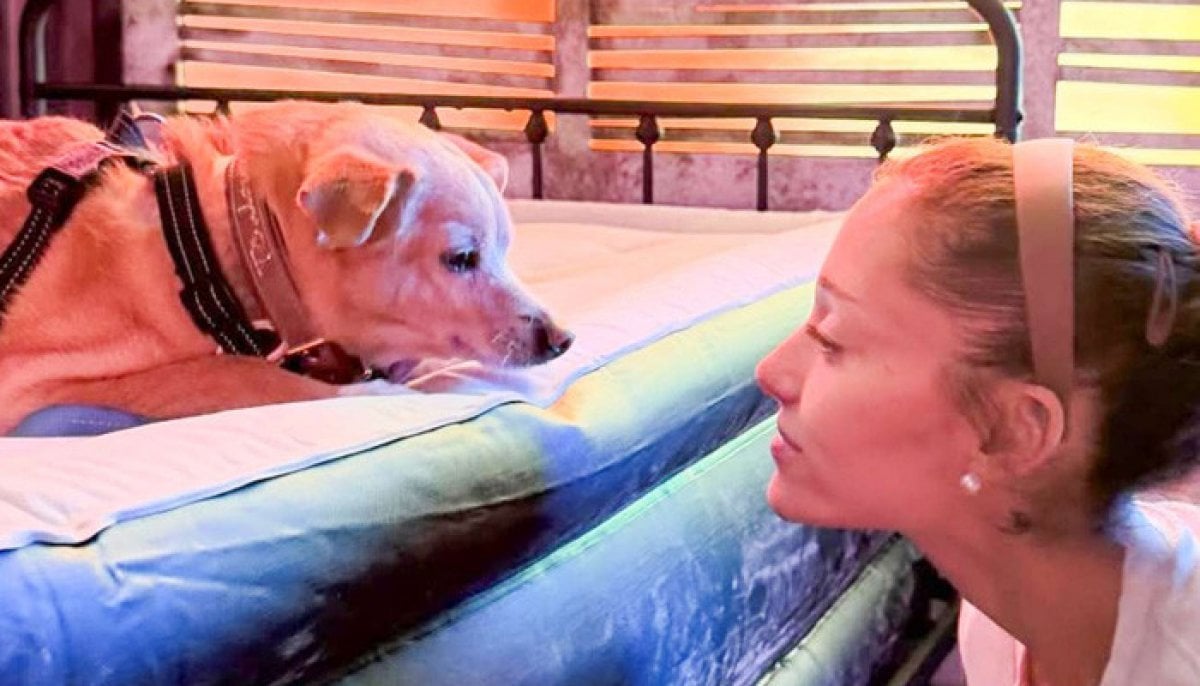 Ariana Grande mourns beloved dog Coco in touching tribute