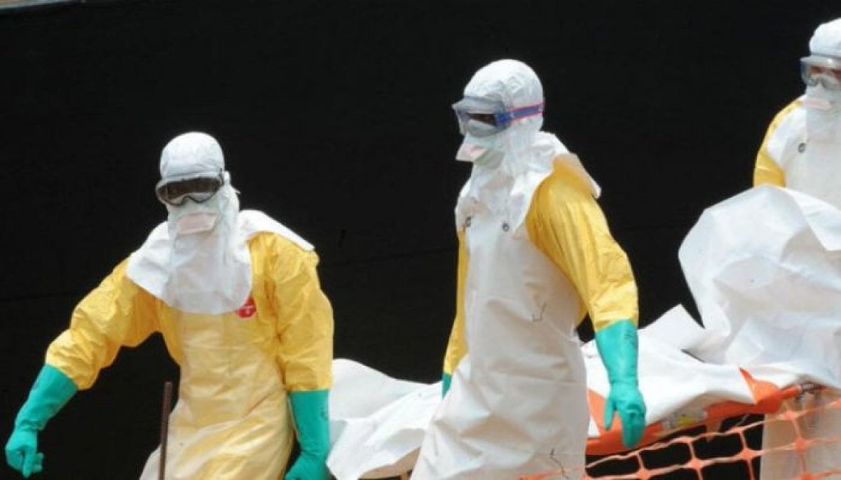 France confirms world's first human case of Shamonda virus; patient dies