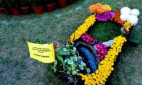 Chrysanthemum show attracts visitors on 2nd day