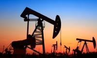 Growing petroleum demand offsets benefits of low world oil prices