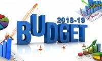 Budget 2018-19: Expenditure up, development down