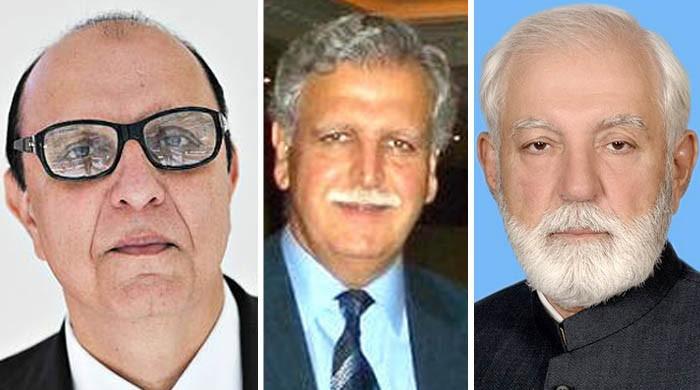 Who owns most of offshore companies?