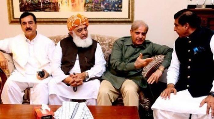 PPP, PML-N agree to bring joint Presidential candidate