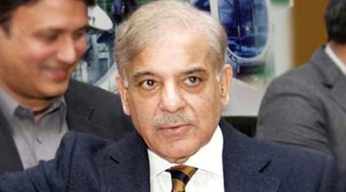 Govt, opposition united like rock on Kashmir: Shahbaz