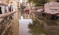 State of Garden East paints a terrible picture of neglect and decay