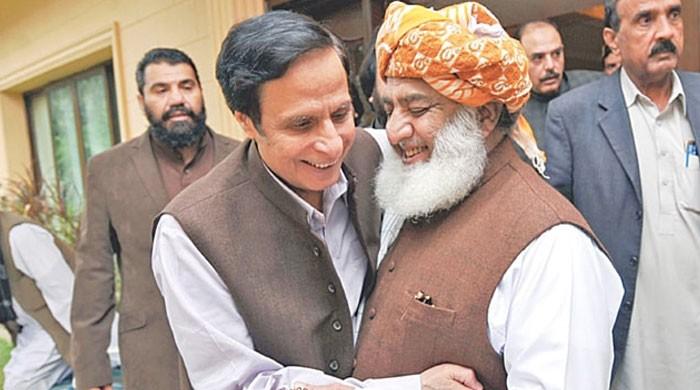 Fazlur Rehman ended march after understanding with govt, claims Pervaiz Elahi