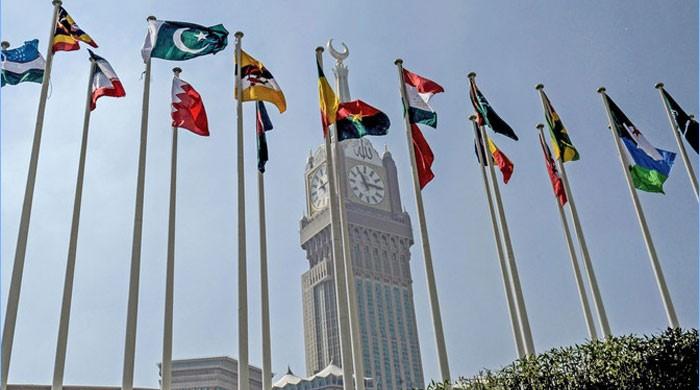 OIC to convene special moot in Pakistan on Kashmir issue