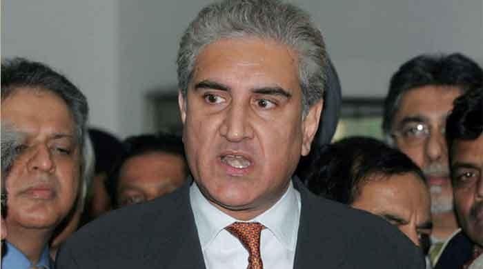 FM Qureshi asks world to support rights of Kashmiris