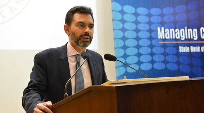 Pakistan Rbe Pakistan’s exports are negligible: Reza Baqir