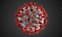 47 dead, 3,161 corona infected in Pakistan