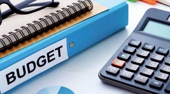 Budget 2020-21: NEC okays Rs1,324 bn national development outlay today