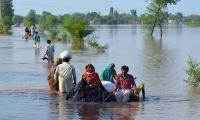Breaches occur in canals of rural Sindh