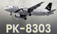 PK-8303: ‘but why...’ — the plane crash survivor’s account