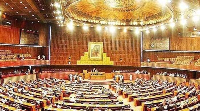 National Panel NA panel passes CPEC Authority bill with majority