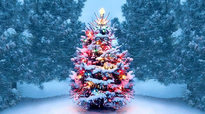 Security plans for Christmas, December 27 events finalised - Vimarsana News