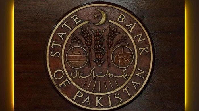 Govt raises Rs760 billion from domestic sukuk market in 2020