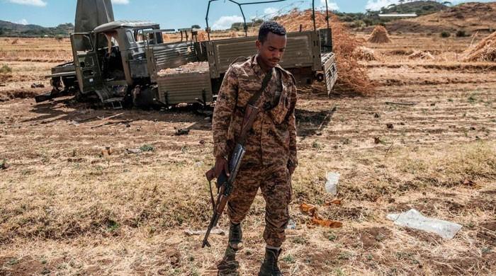 Four members of Tigray party killed - Vimarsana News