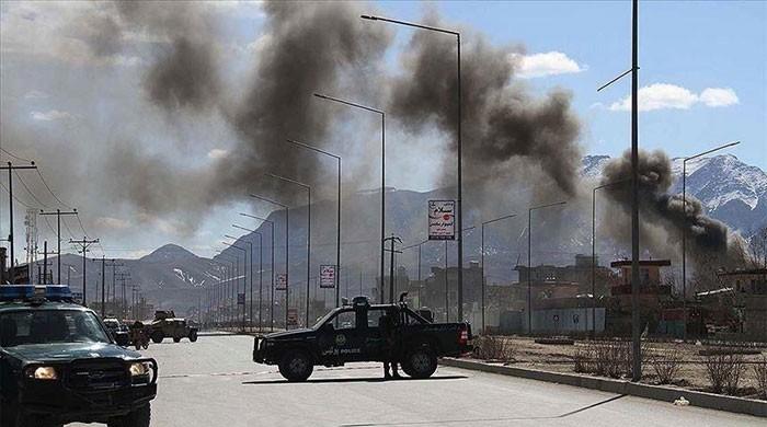 Taliban kill 12 pro-govt militiamen - Vimarsana News