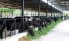 Webinar discusses latest trends in dairy industry