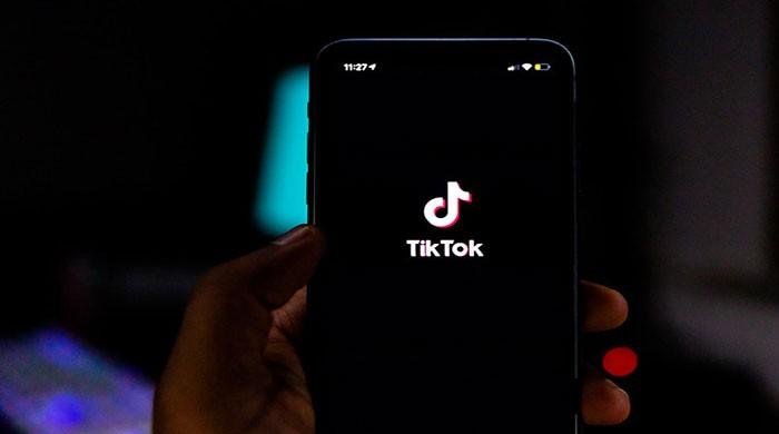 TikTok star Muskan, three others killed in brazen attack - Vimarsana News