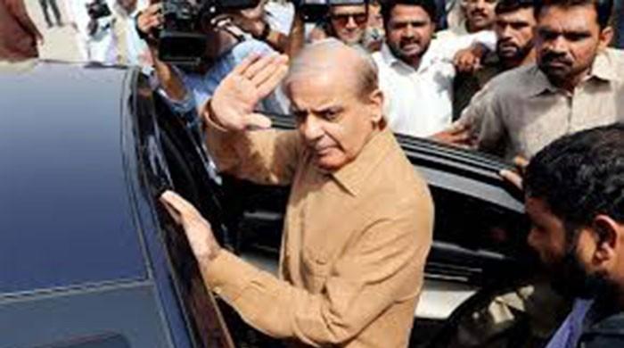 Saaf Pani Company reference: Shahbaz Sharif's daughter, son-in-law declared POs - Vimarsana News
