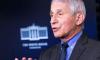US has undercounted Covid deaths, says Fauci