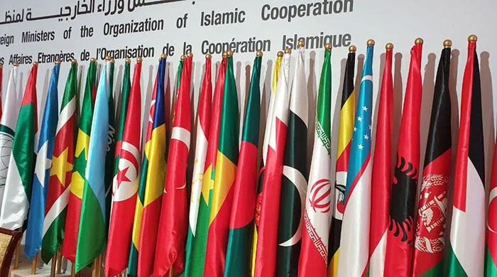 OIC condemns barbaric Israeli attacks on Palestinians - Vimarsana News