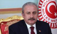 World silent on Israeli, Indian war crimes: Speaker Turkish Parliament
