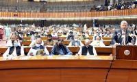 Budget: betting on growth