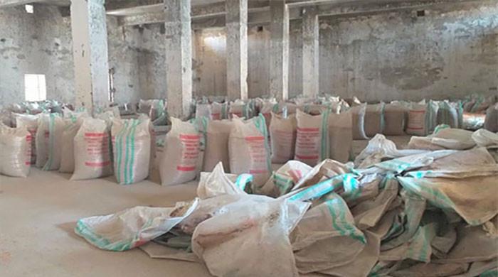 ECC approves 3mln tonnes wheat import for strategic reserves - Vimarsana News