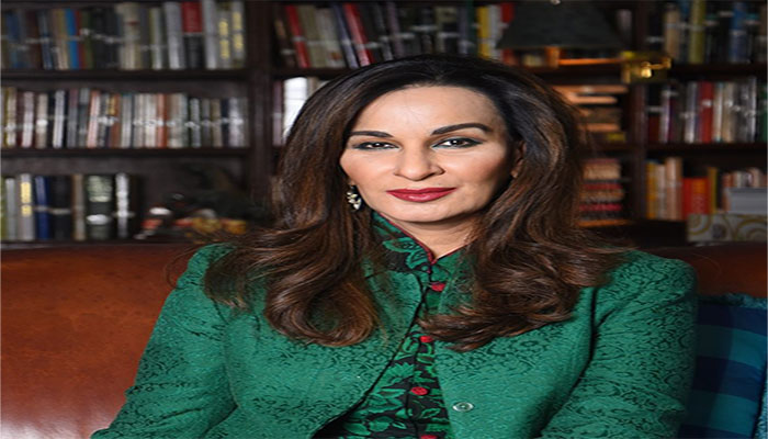 ECP raises objection to 45 out of 72 amendments: Sherry