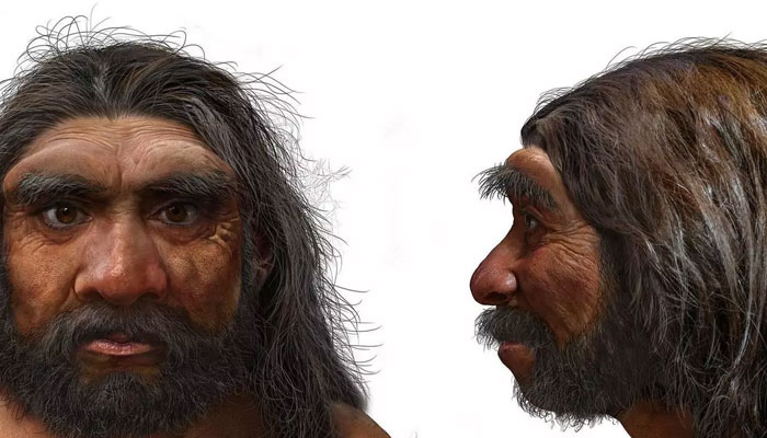 ‘Dragon Man’: Scientists say new human species is our closest ancestor