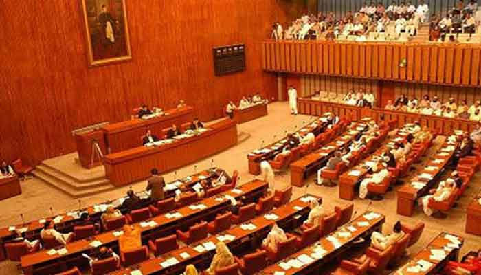 Despite clear majority in Senate: Opposition caught napping as govt pushes through bills