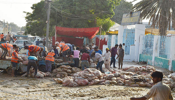 Malir cantonment disposed of offal of over 26,000 animals